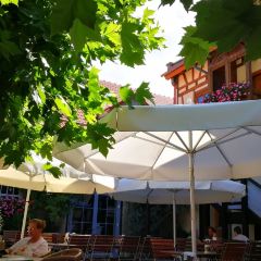 Hofgut Domane 여행 사진