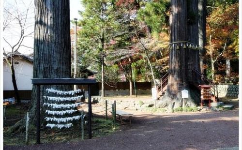 参观完修缮寺就路过了这个神社，相比日本的大型的神社，这里的历