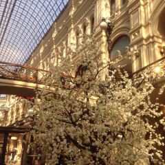 Stolovaya 57 User Photo