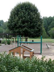 Elkin Recreation & Parks Department