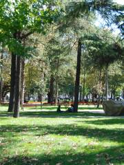 Halıcıoglu Park