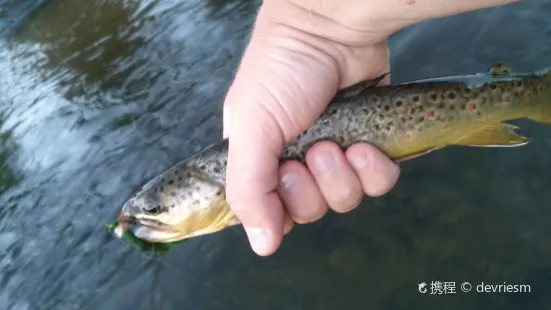 Catskill Fly Fishing Center & Museum