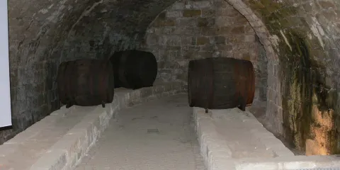 Cave Store