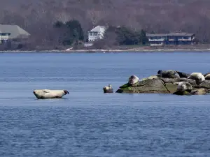 John H. Chafee Rome Point Preserve