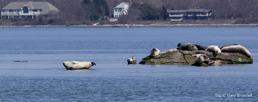 John H. Chafee Rome Point Preserve