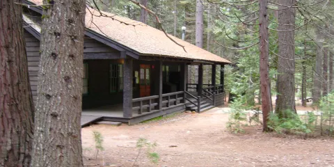 Big Tree Park
