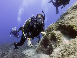 Paradise Dive Center