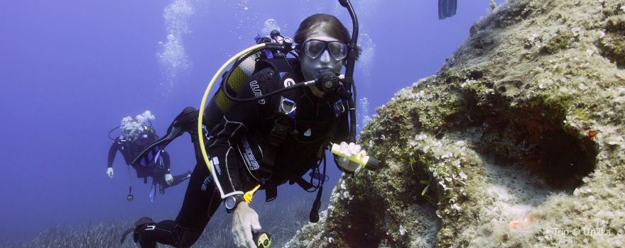 Paradise Dive Center