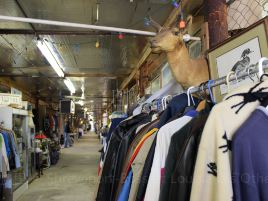 Lesnoy Flea Market