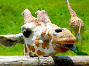 Brown County State Park