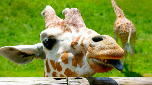 Brown County State Park