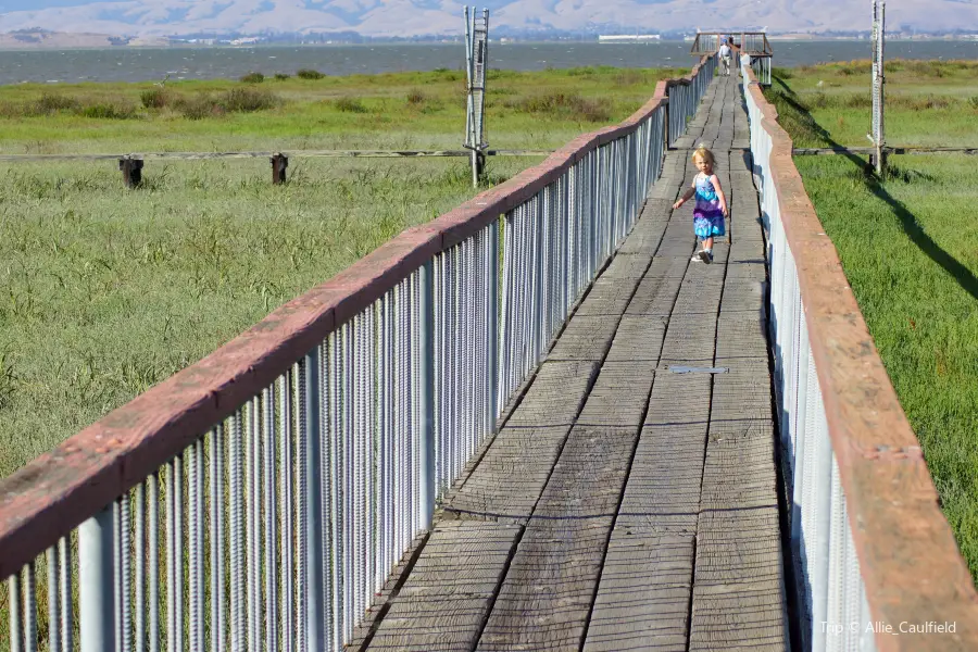 Baylands Park