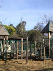 Holbrook Palmer Park