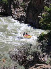 Wild West Rafting: Yellowstone Whitewater Rafting