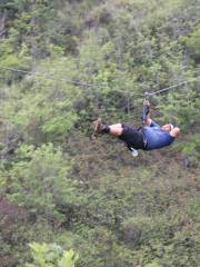 Flyin Hawaiian Zipline