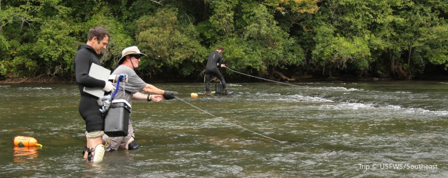 Headwaters Outfitters