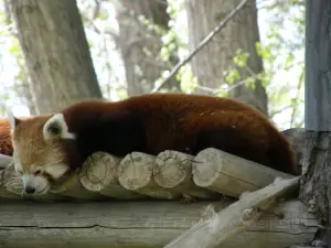 モンタナ動物園