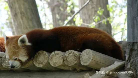 モンタナ動物園