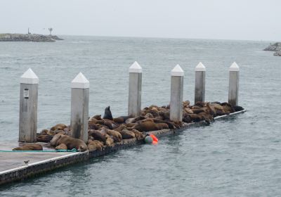 Monterey Bay National Marine Sanctuary Exploration Center