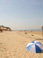 Formby Beach