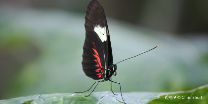 Museum of Life and Science