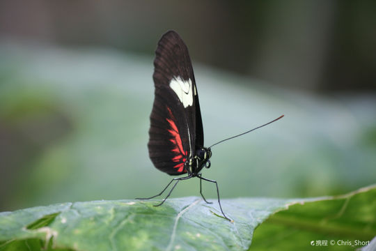 Museum of Life and Science