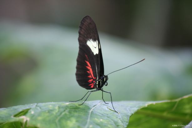 Museum of Life and Science