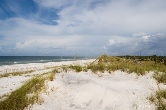 Peninsula State Park