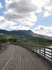 Salmon Arm Wharf