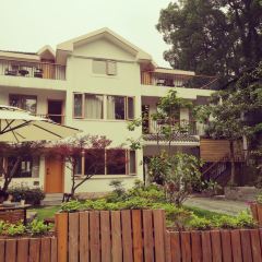 杭州如野民宿(西湖风景区太子湾公园店)·如野·玻璃房子·山野食记(西湖龙井虎跑店) User Photo