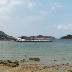 桂港海鮮城張用戶圖片