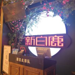 XIN BAI LU User Photo