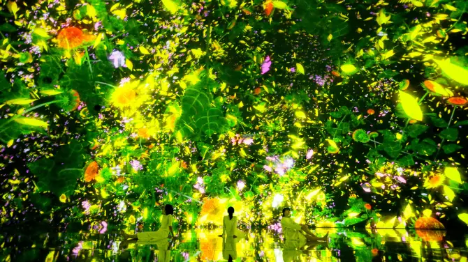 5_豐洲teamLab Planets TOKYO美術館