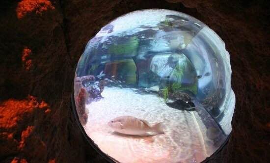 SEA LIFE 올랜도 수족관
