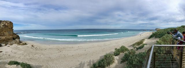 Seal Bay