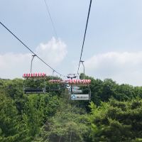 評論圖片 3