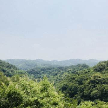 評論圖片 1