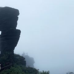 LAO JIANG TOP GUIZHOU User Photo