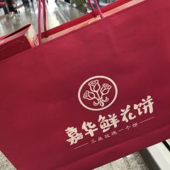 JIAHUAXIANHUABING User Photo