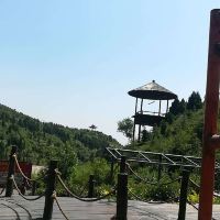 評論圖片 5