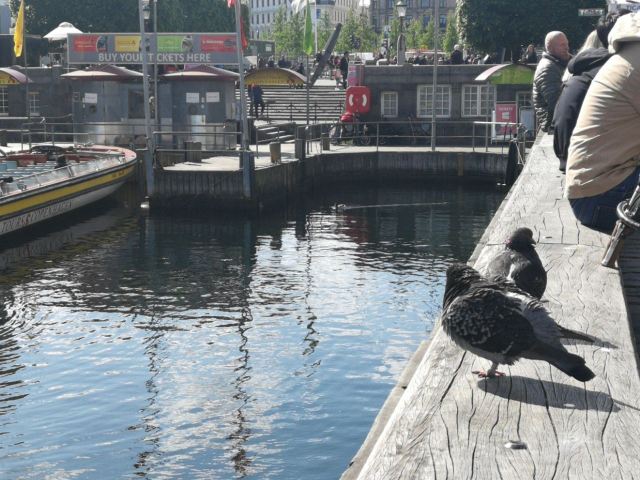 Nyhavn