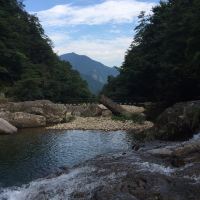 評論圖片 3