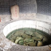 評論圖片 4