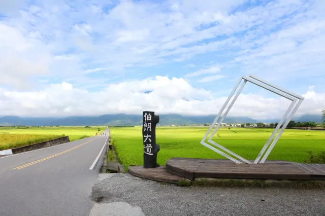 【台東必去】4個人氣台東景點推薦,不能錯過池上、成功鎮