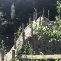 評論圖片 5