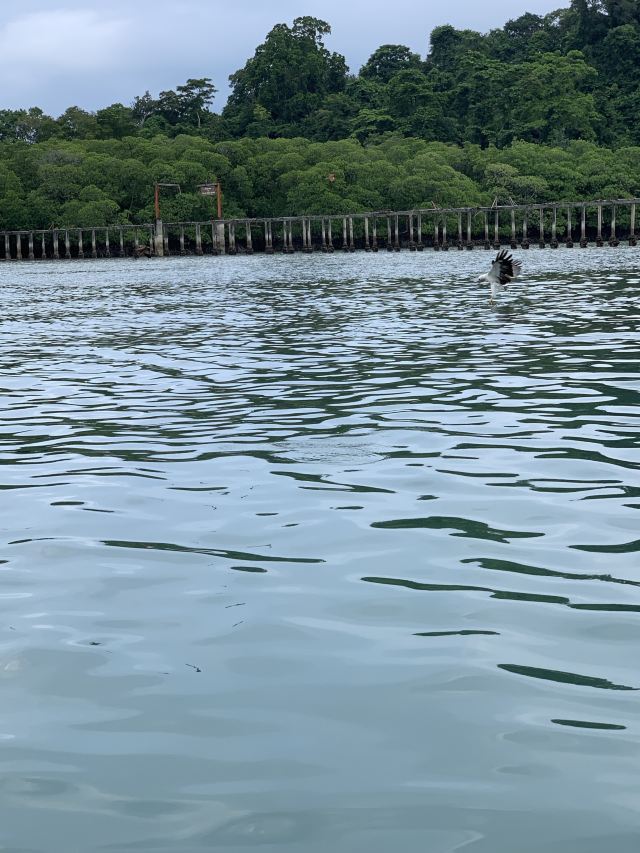 Pulau Singa Besar