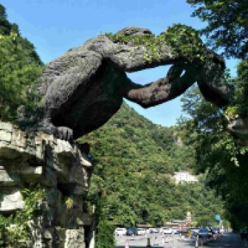 評論圖片 6