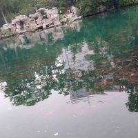 評論圖片 6