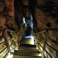 評論圖片 5