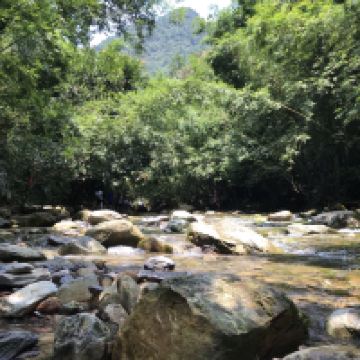 評論圖片 7